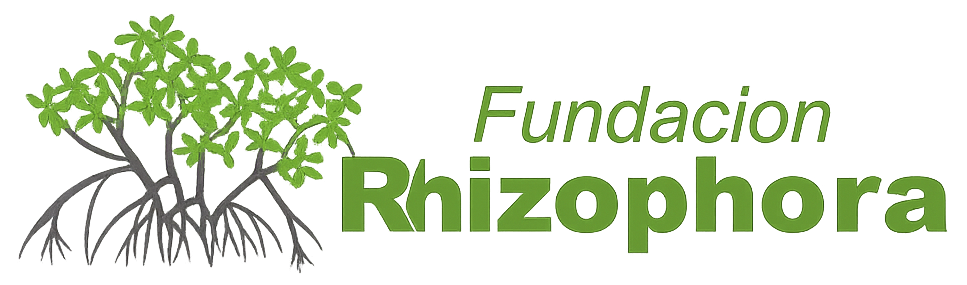 Logo RIZOPHORA DHL